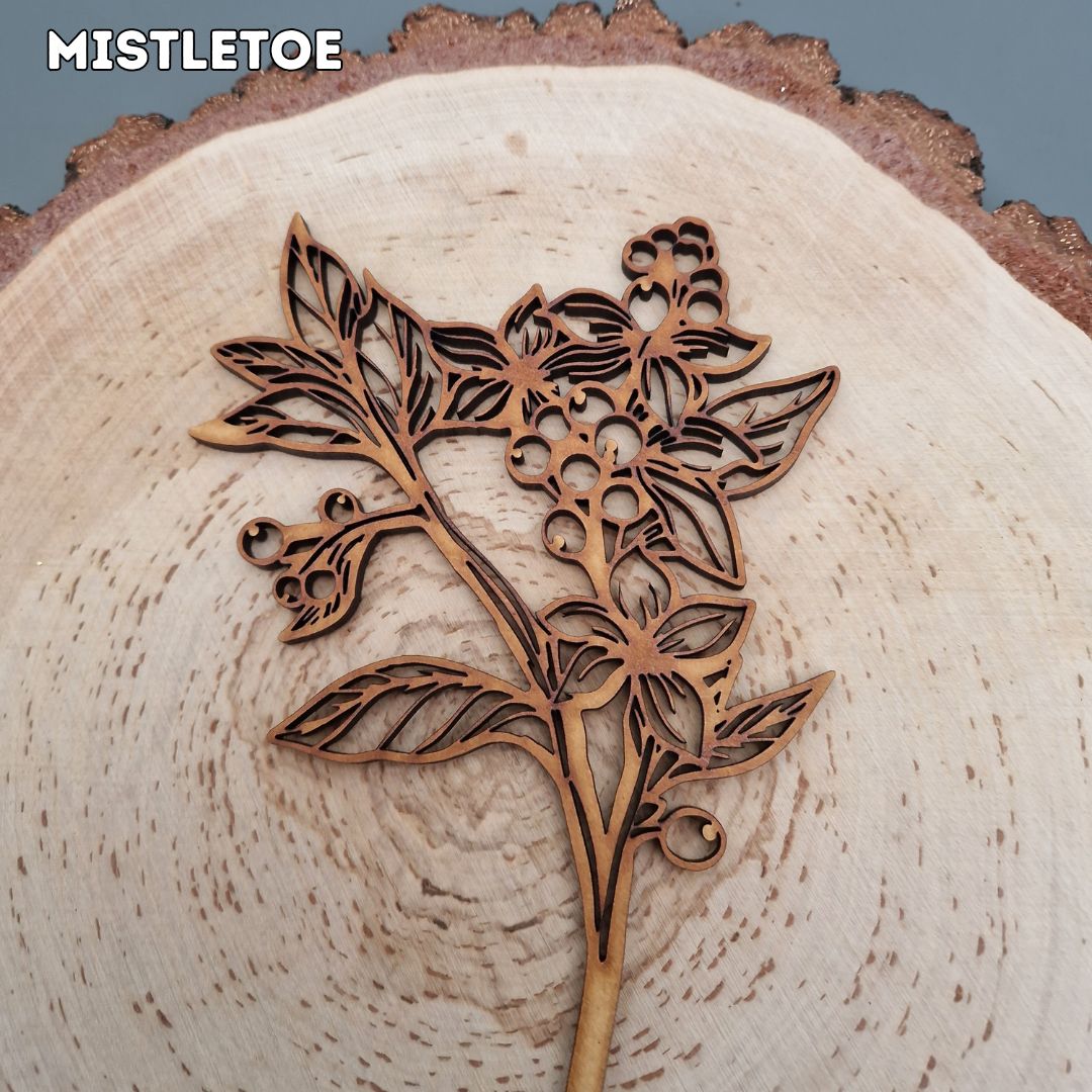 Winter Wooden Stem Flowers