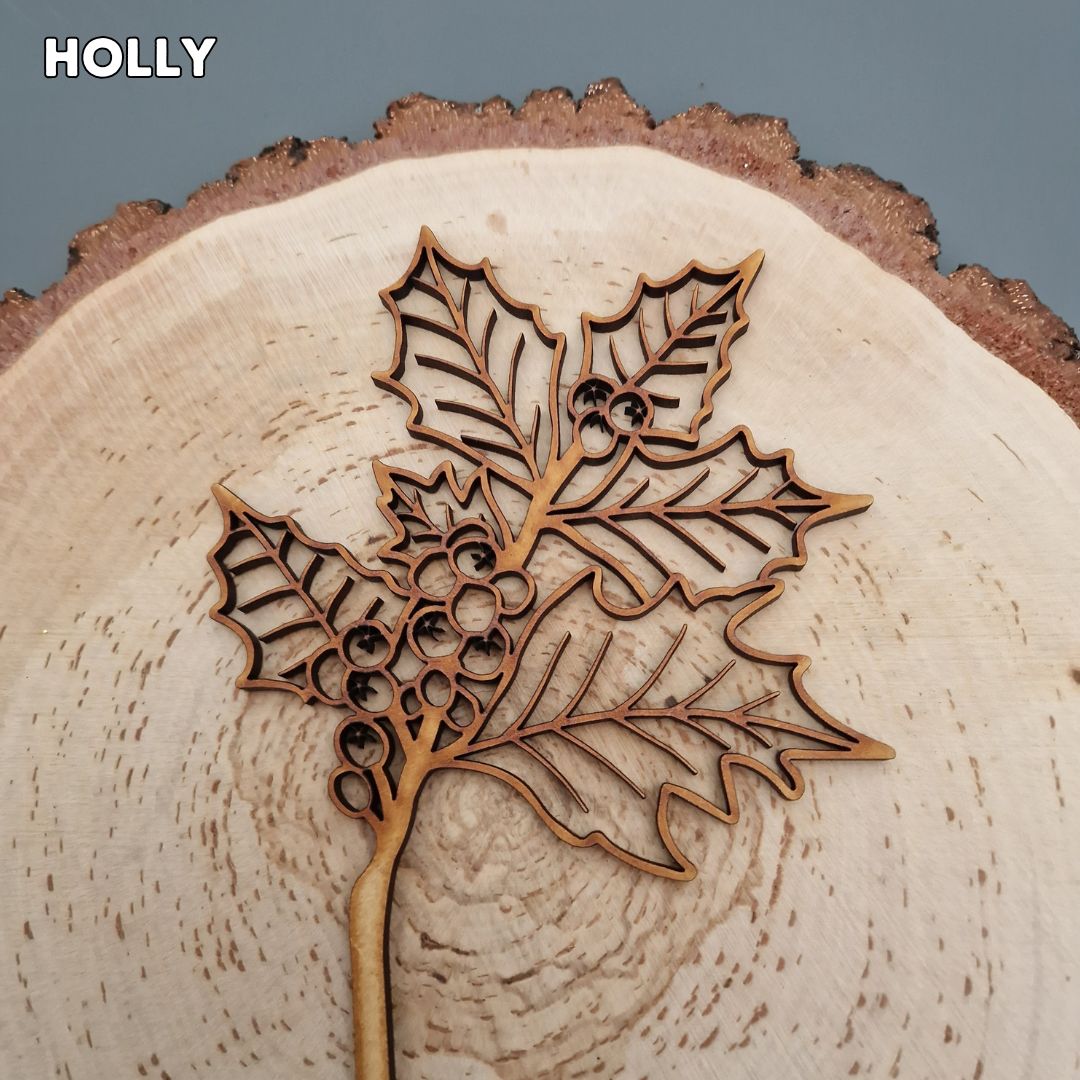 Winter Wooden Stem Flowers