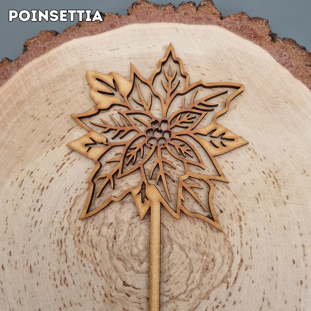 Winter Wooden Stem Flowers