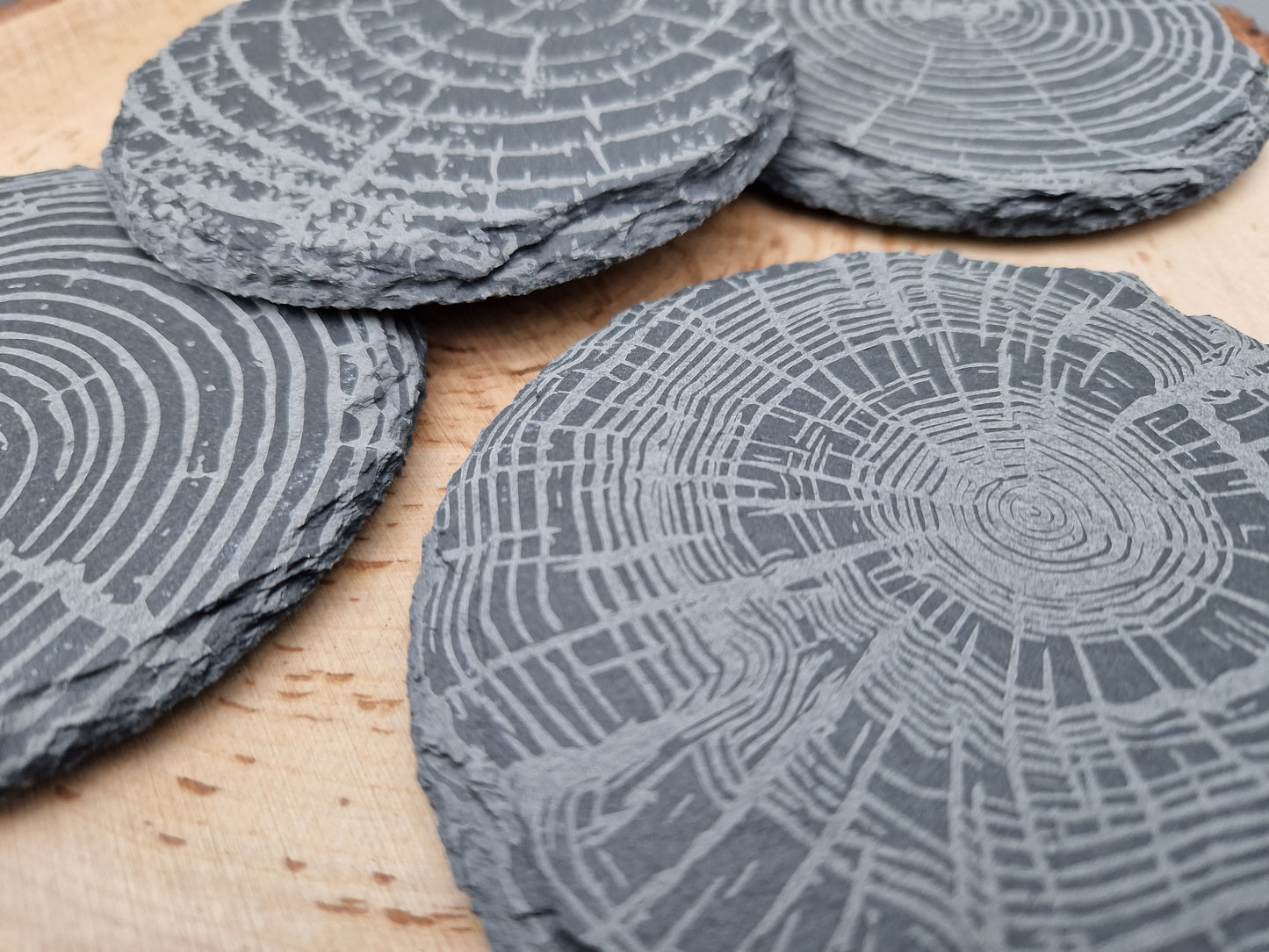 Tree Ring Slate Coaster