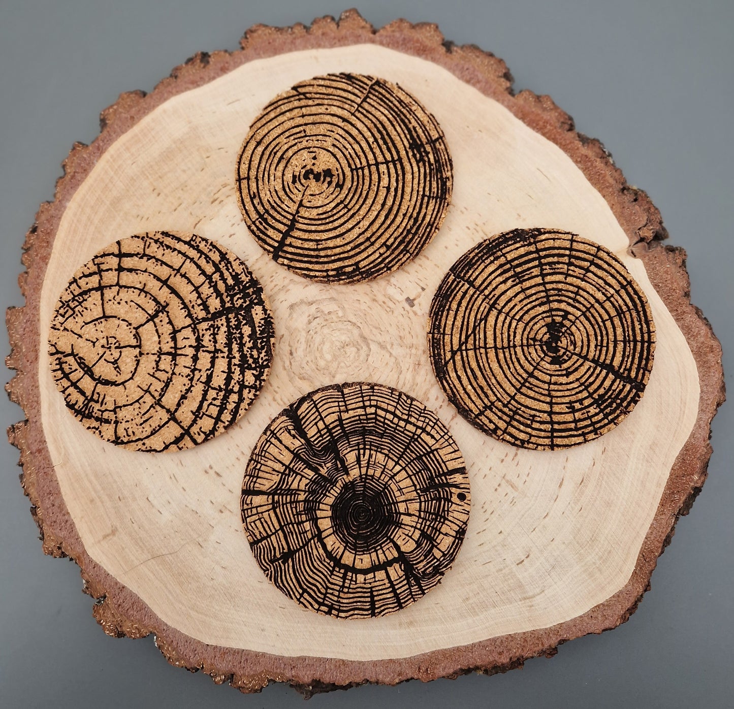 Tree Ring Cork Coaster