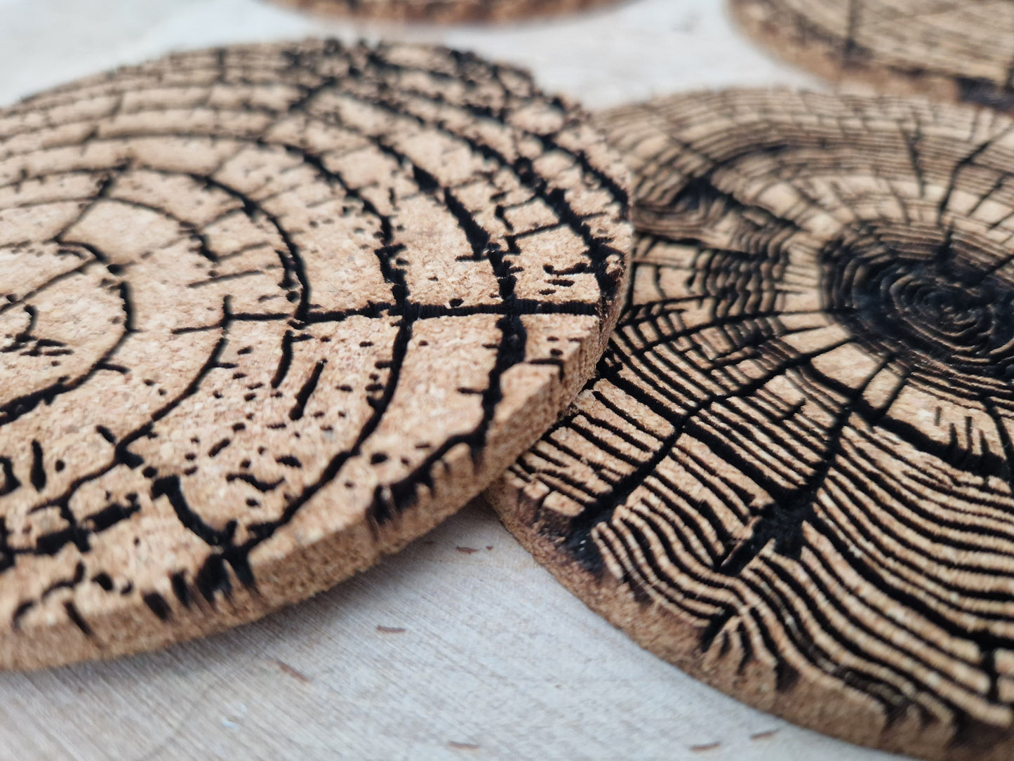 Tree Ring Cork Coaster