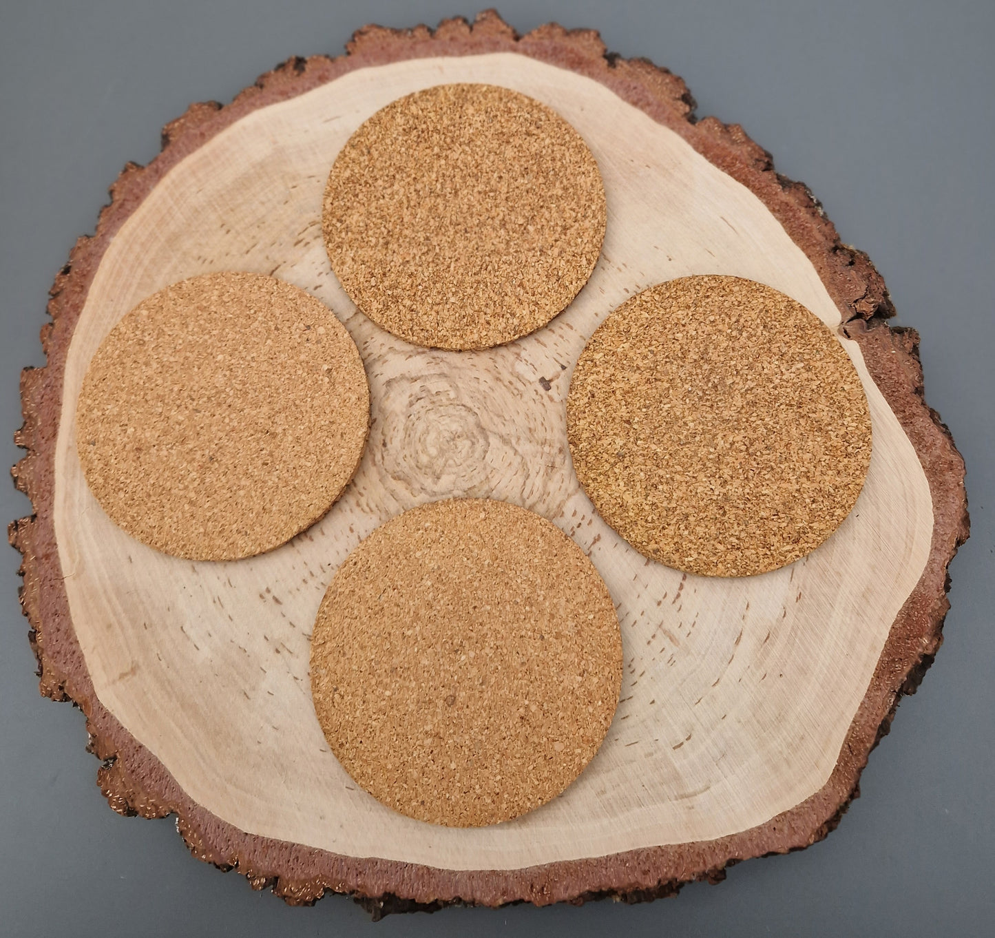 Tree Ring Cork Coaster