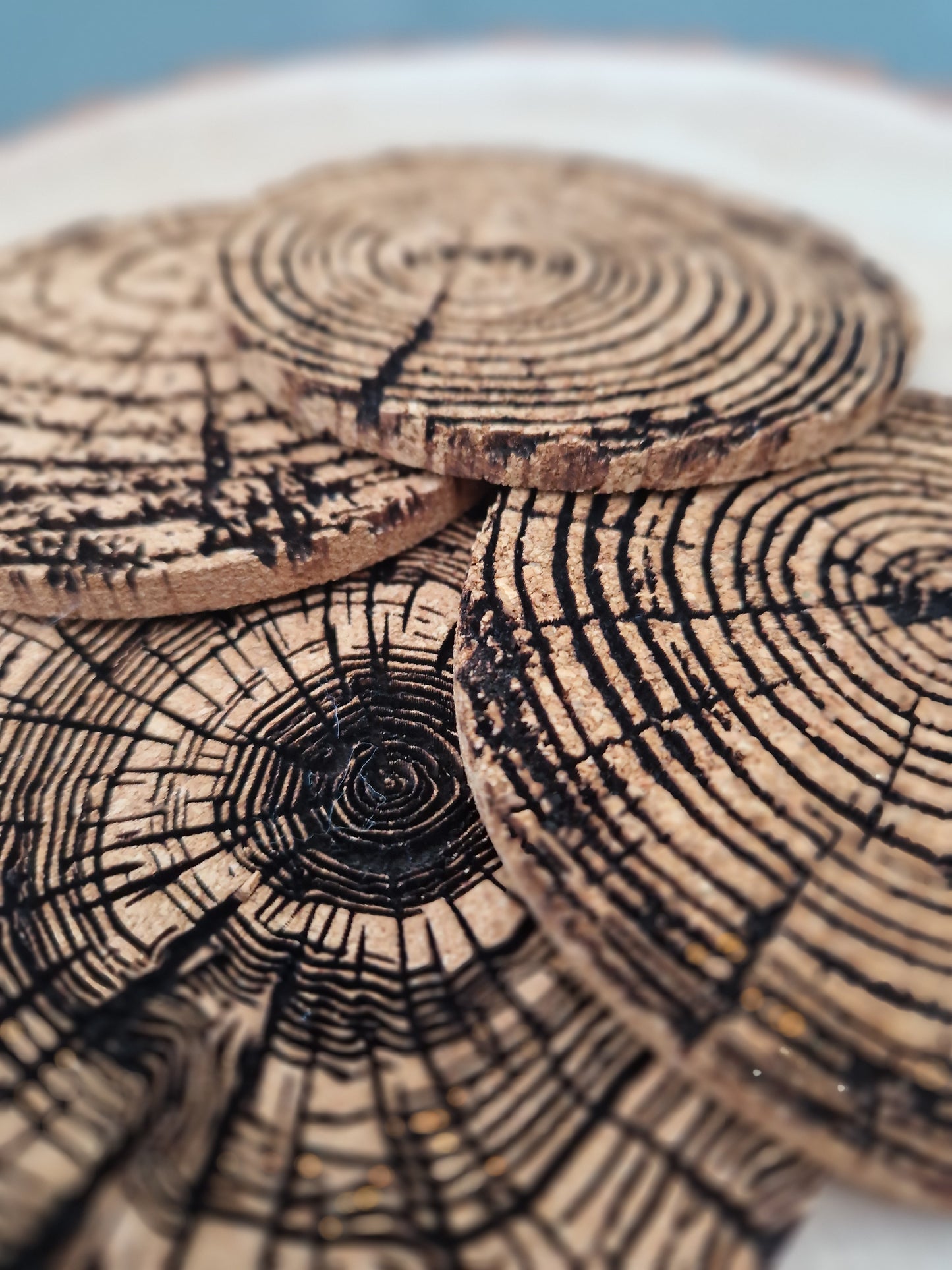 Tree Ring Cork Coaster