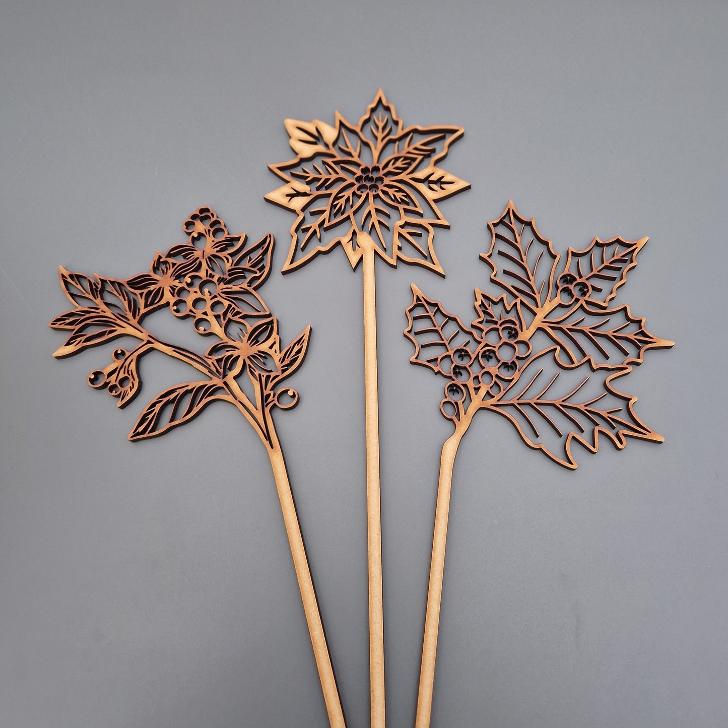 Winter Wooden Stem Flowers