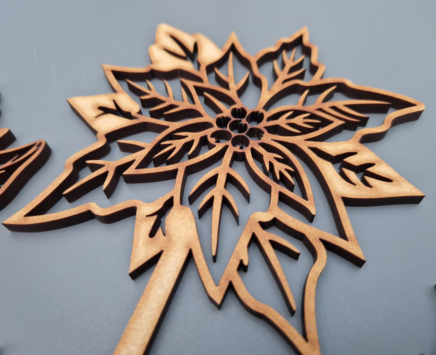 Winter Wooden Stem Flowers