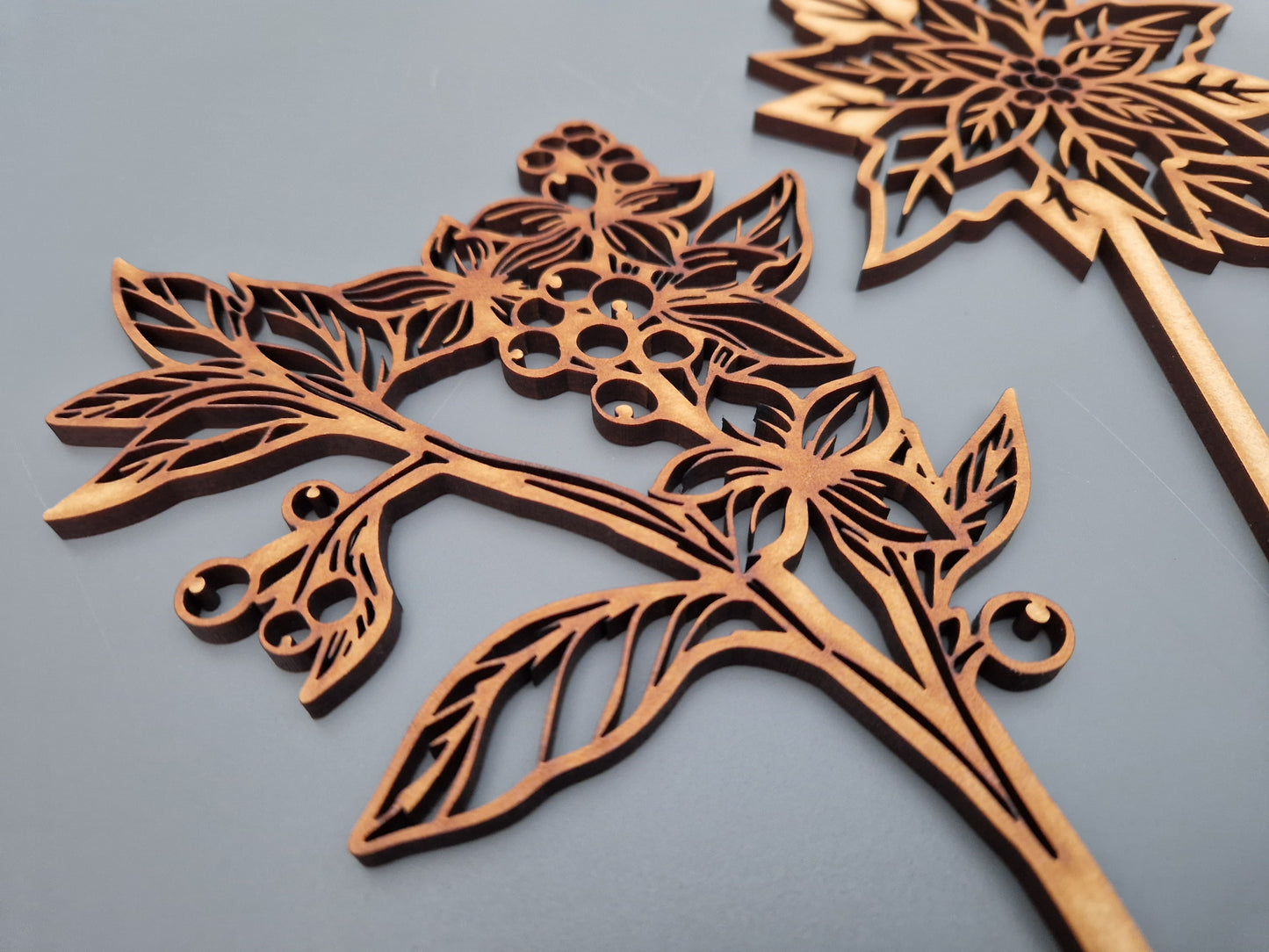 Winter Wooden Stem Flowers