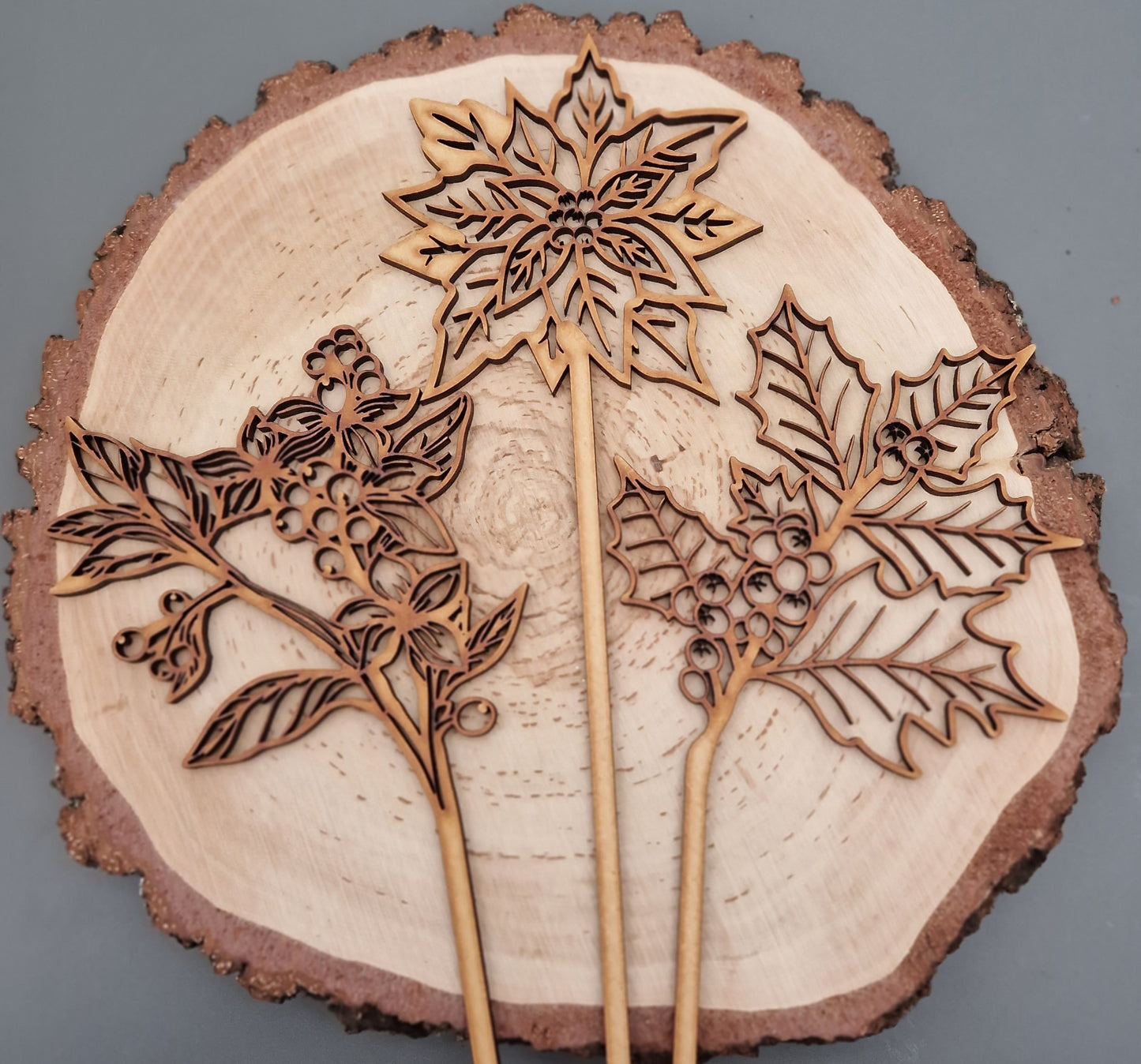 Winter Wooden Stem Flowers