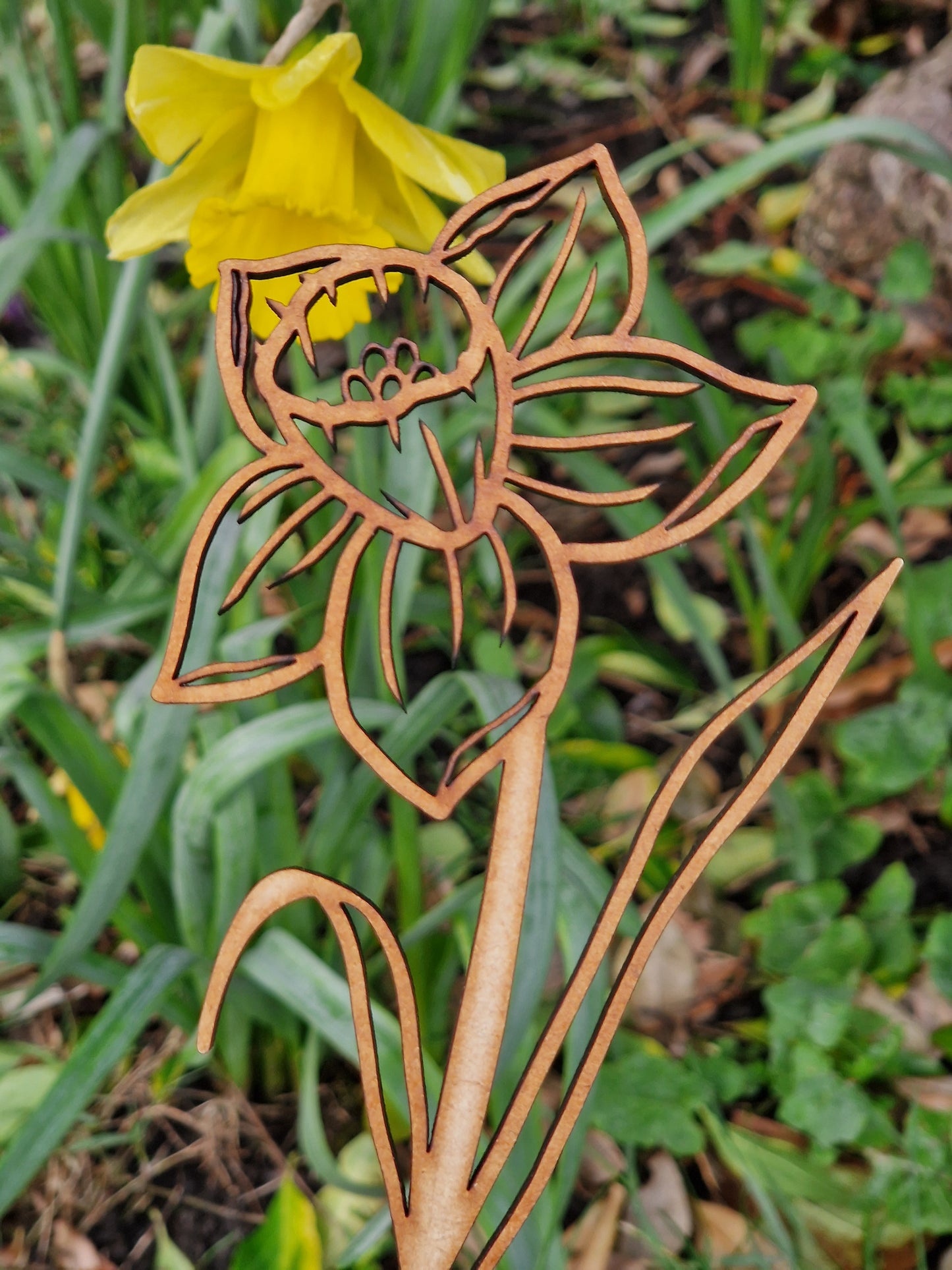 Spring Wooden Stem Flowers