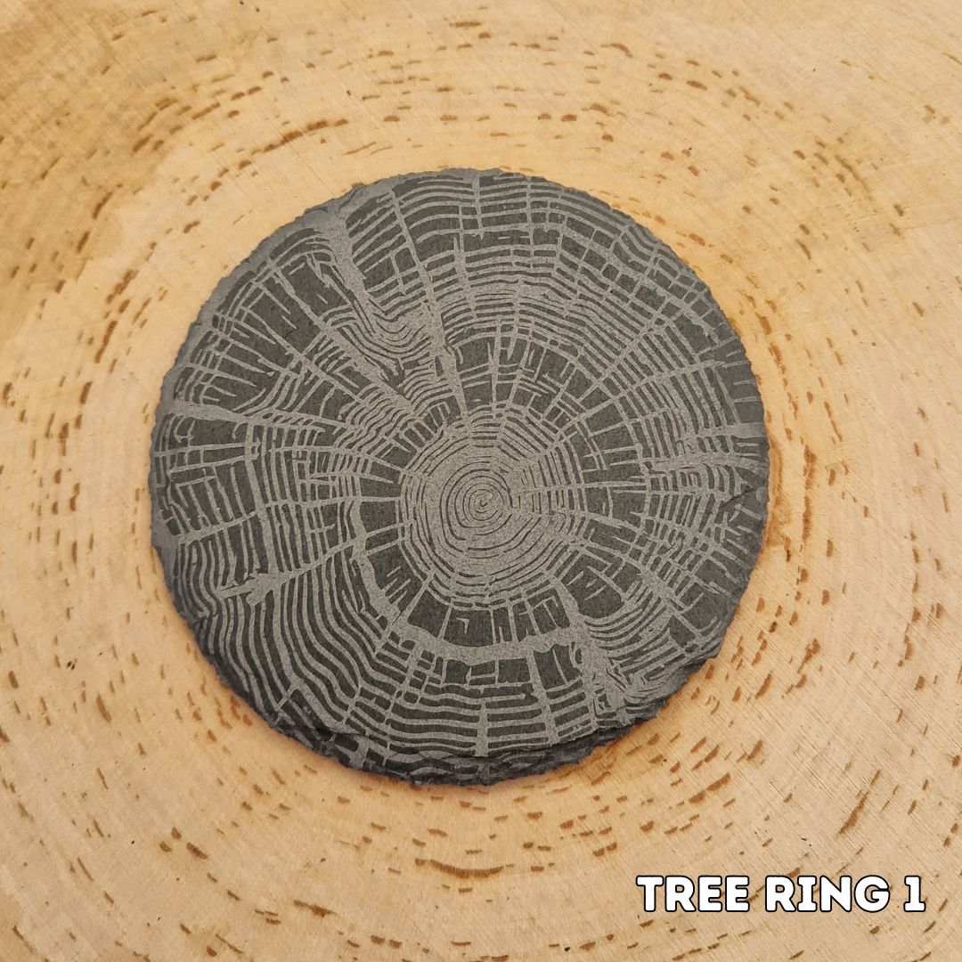 Tree Ring Slate Coaster