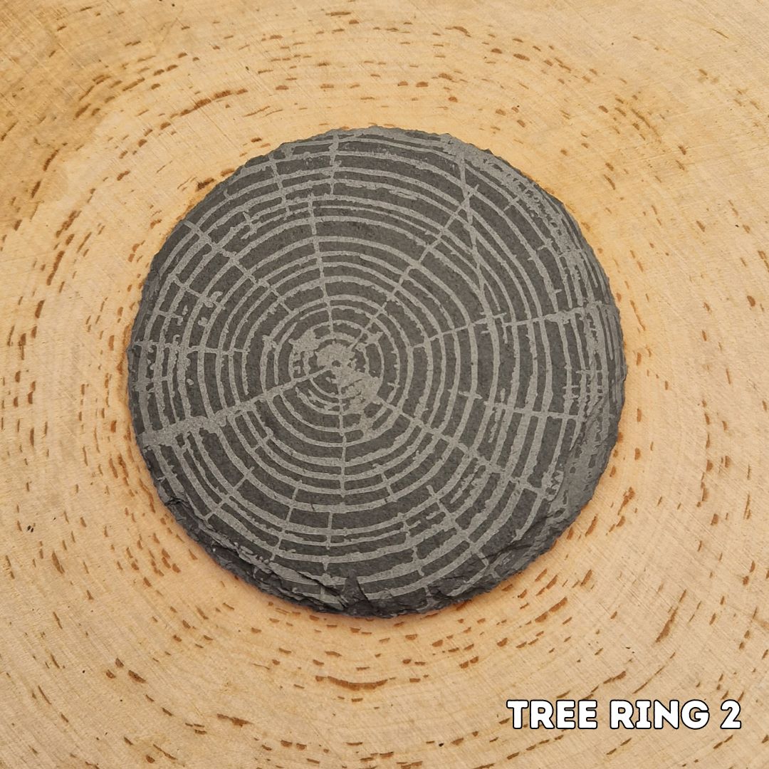 Tree Ring Slate Coaster