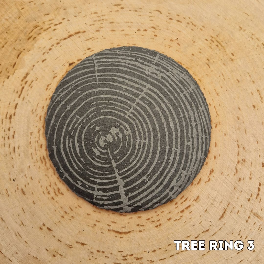Tree Ring Slate Coaster