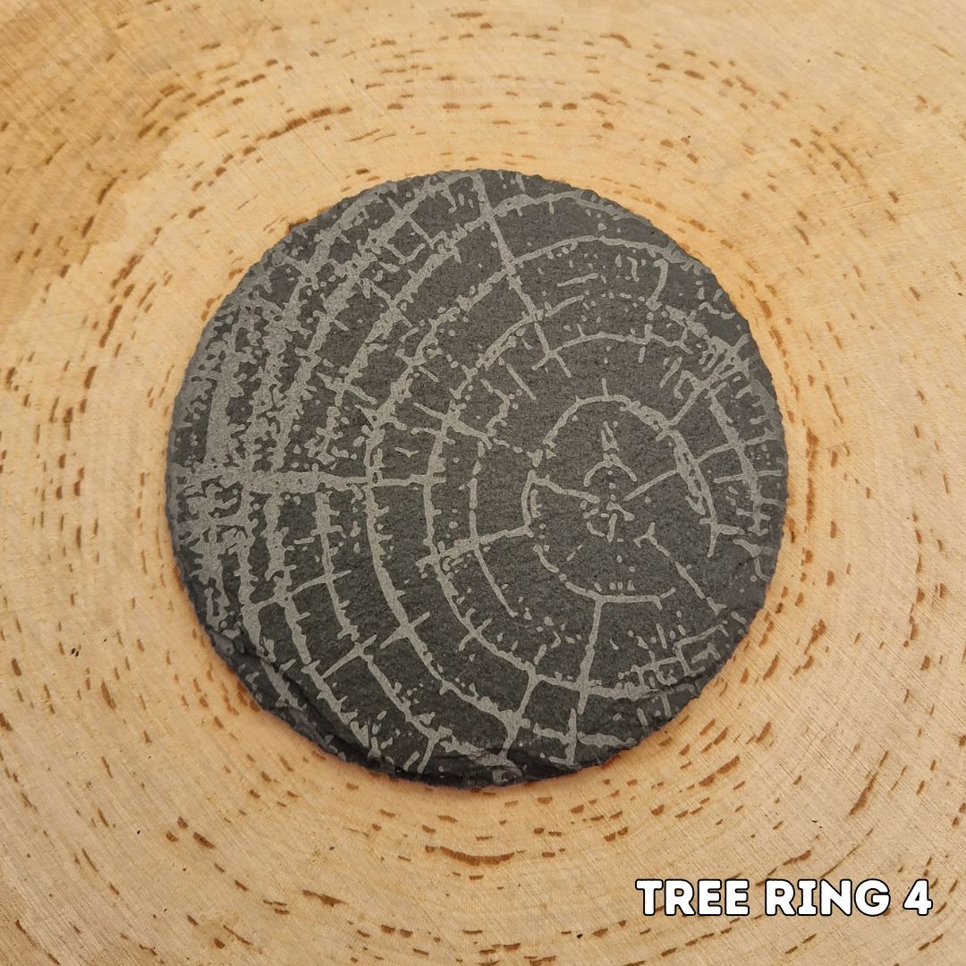 Tree Ring Slate Coaster