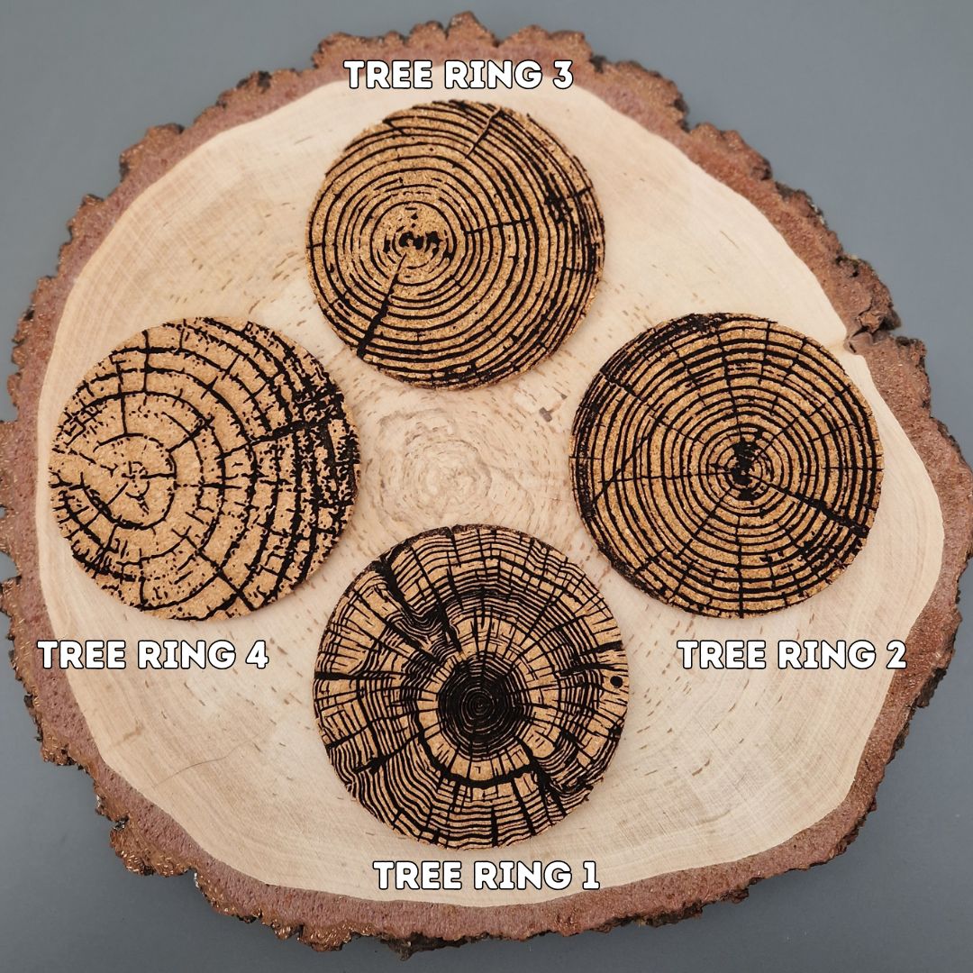 Tree Ring Cork Coaster