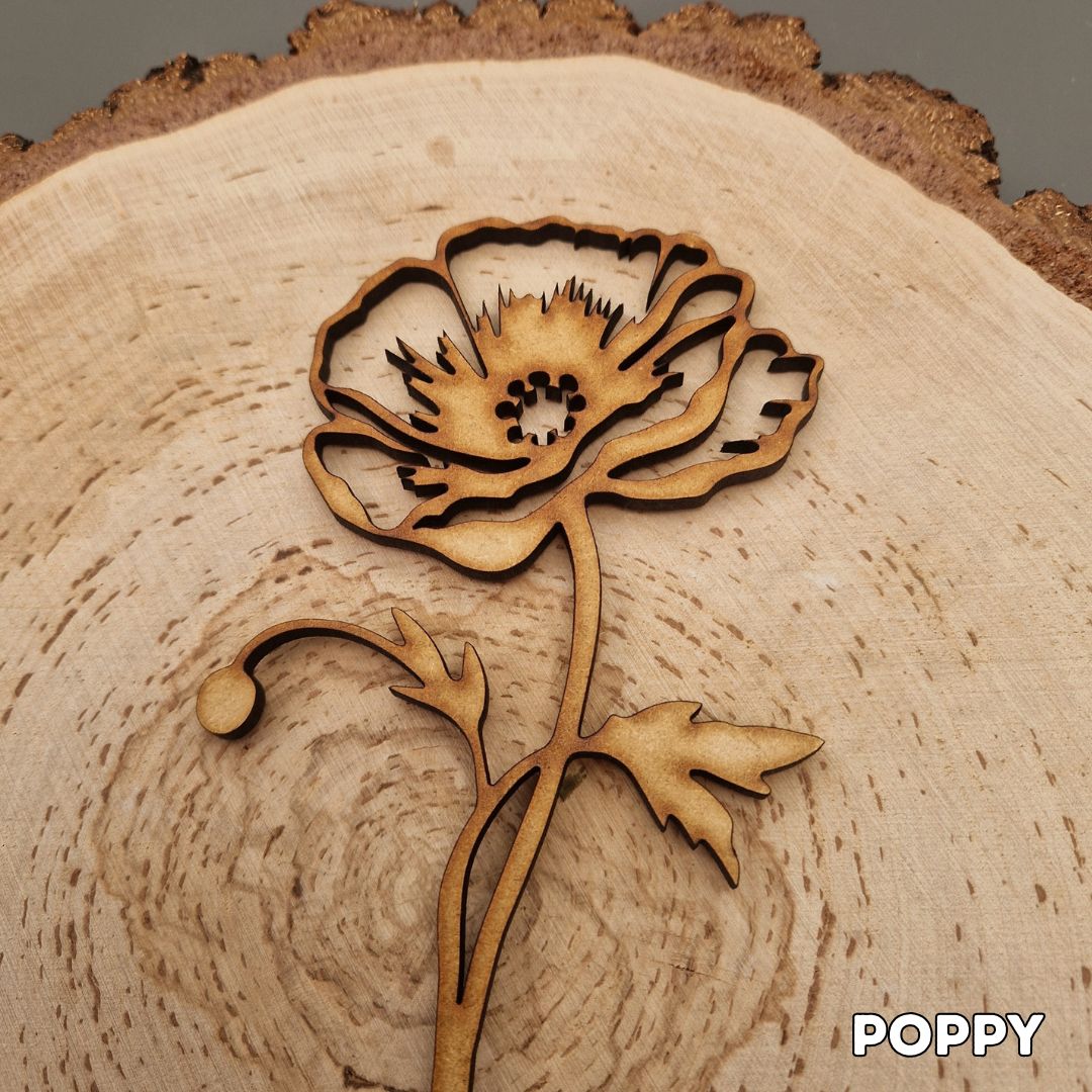 Summer Wooden Stem Flowers