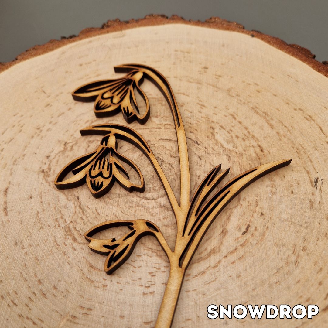 Spring Wooden Stem Flowers