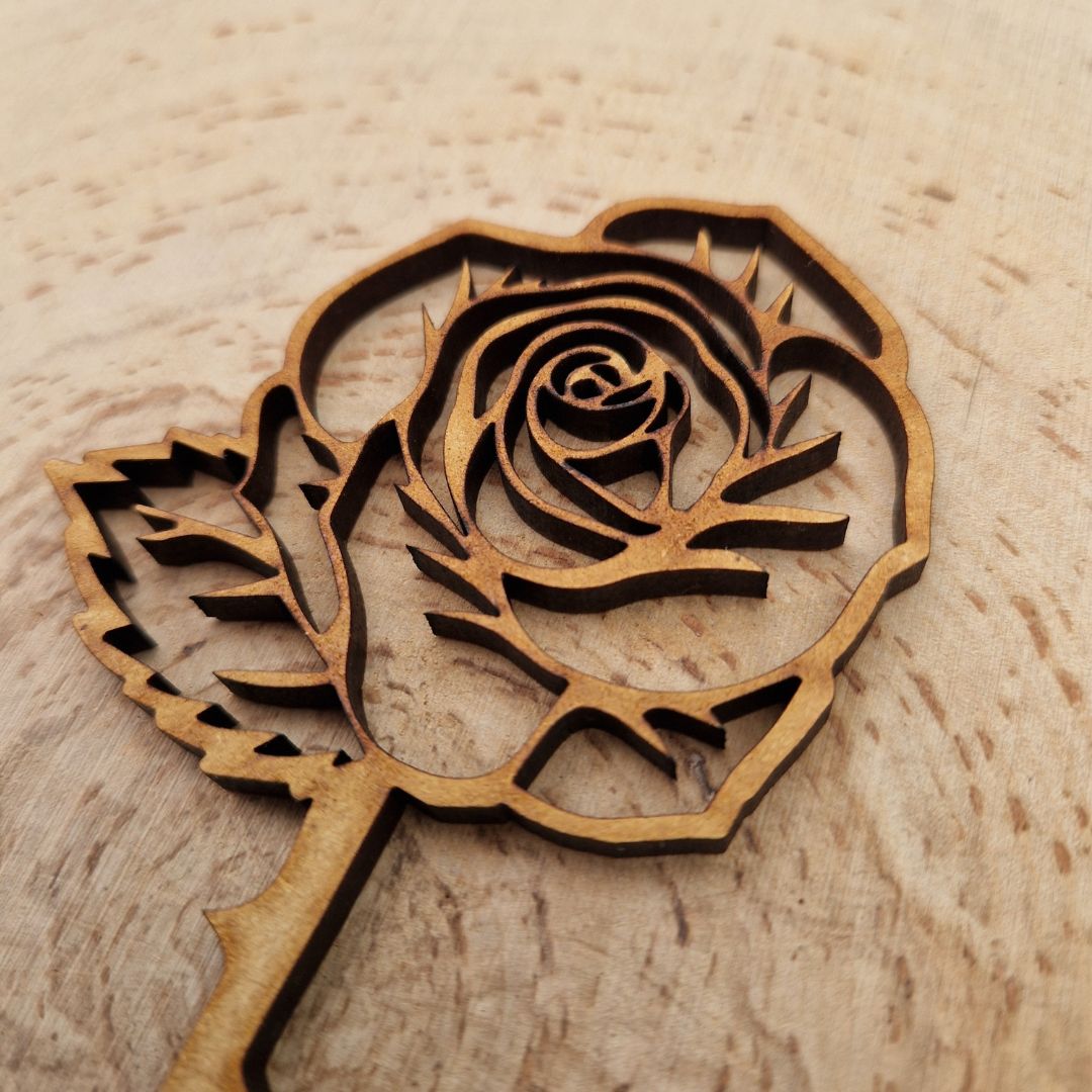 Spring Wooden Stem Flowers