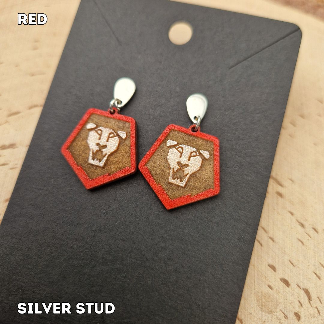 Saja Boys Earrings