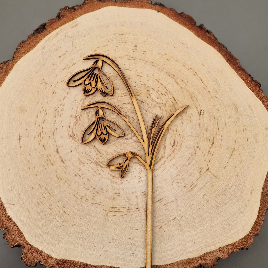 Spring Wooden Stem Flowers