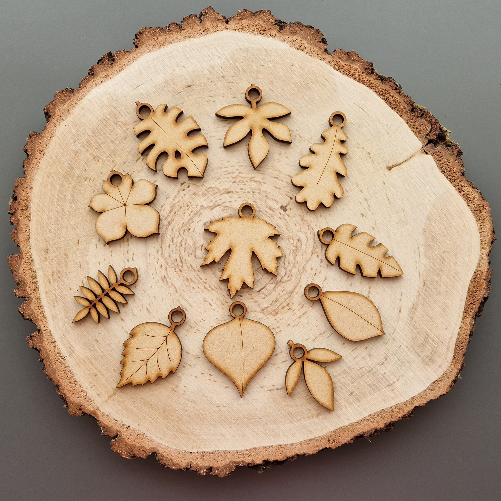 Wooden leaf shapes displayed on log slice