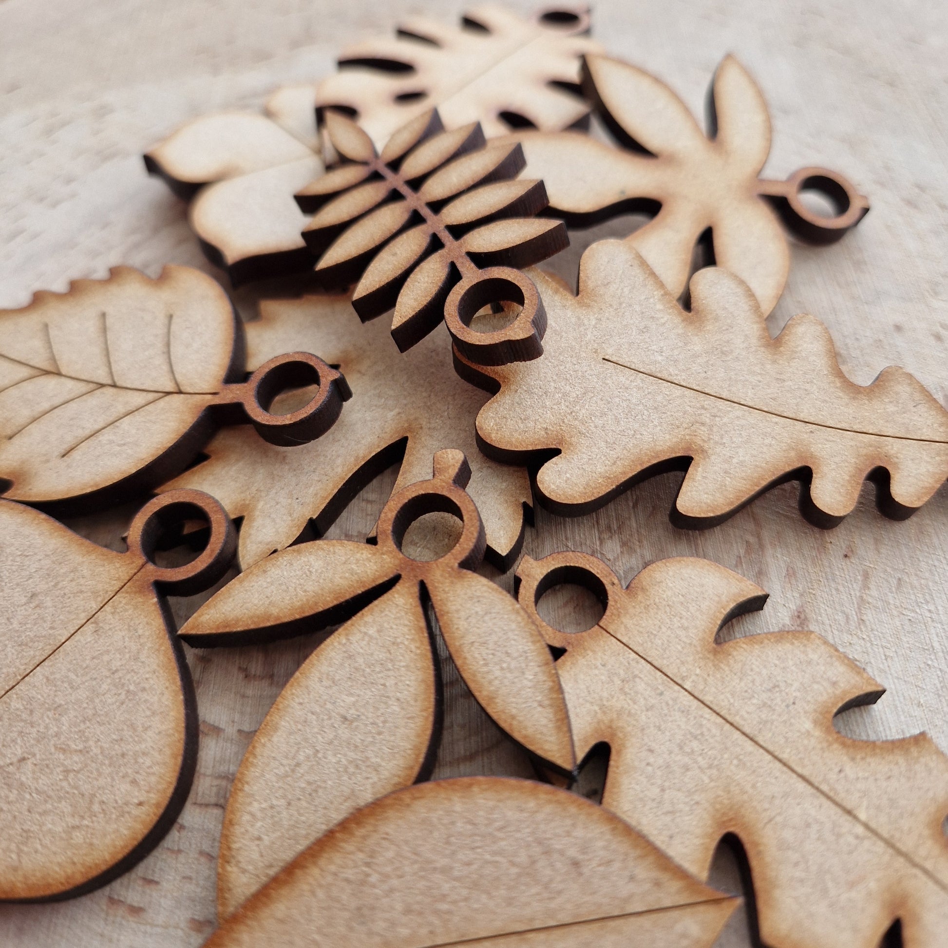 Wooden leaf shapes displayed on wooden background