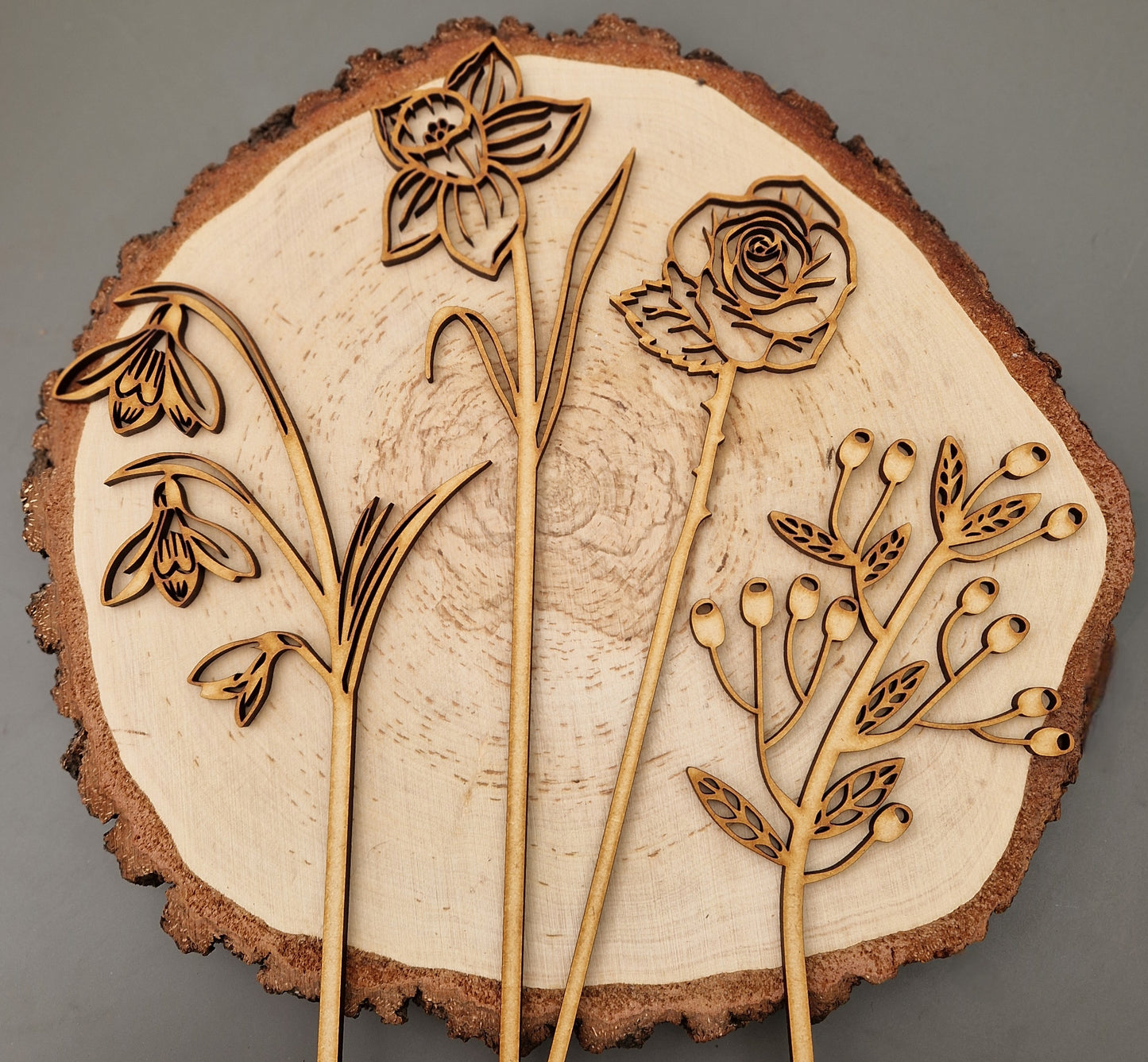 Spring Wooden Stem Flowers