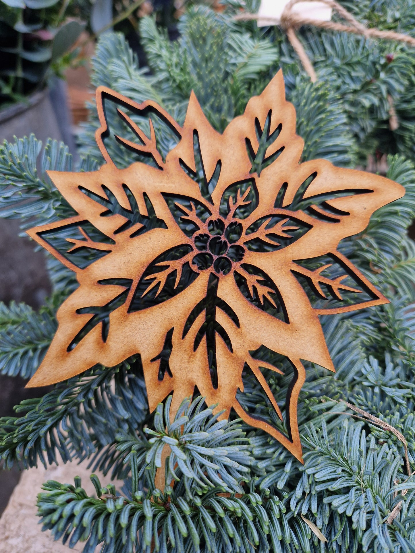 The Winter Garden
