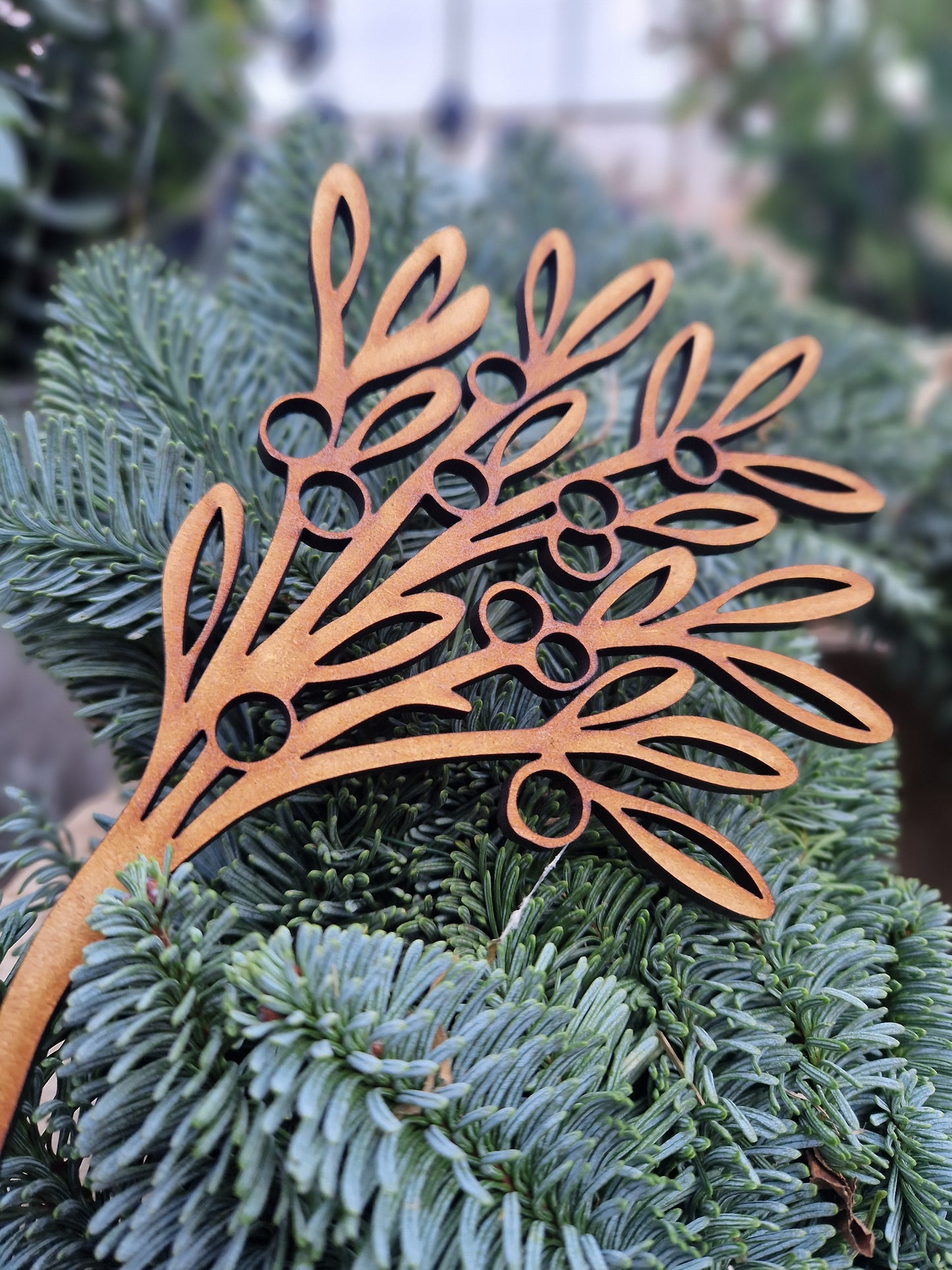 The Winter Garden
