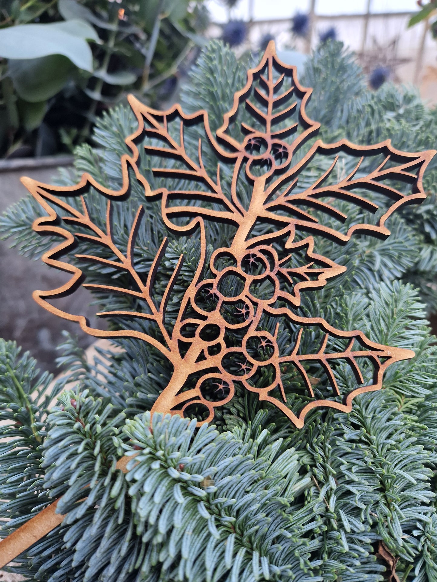 The Winter Garden