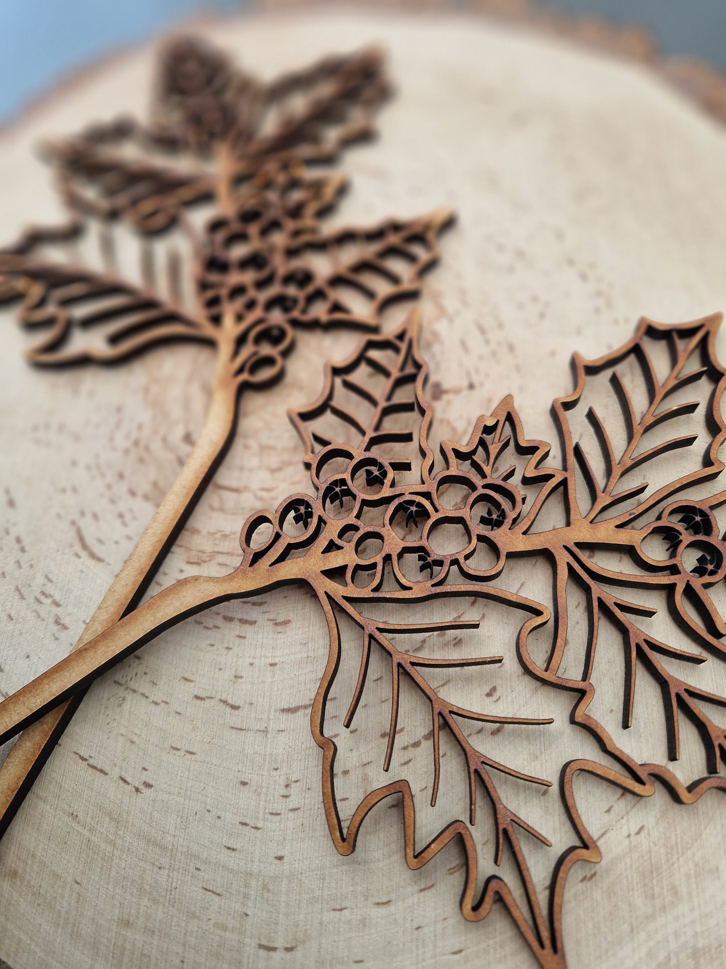 Winter Wooden Stem Flowers