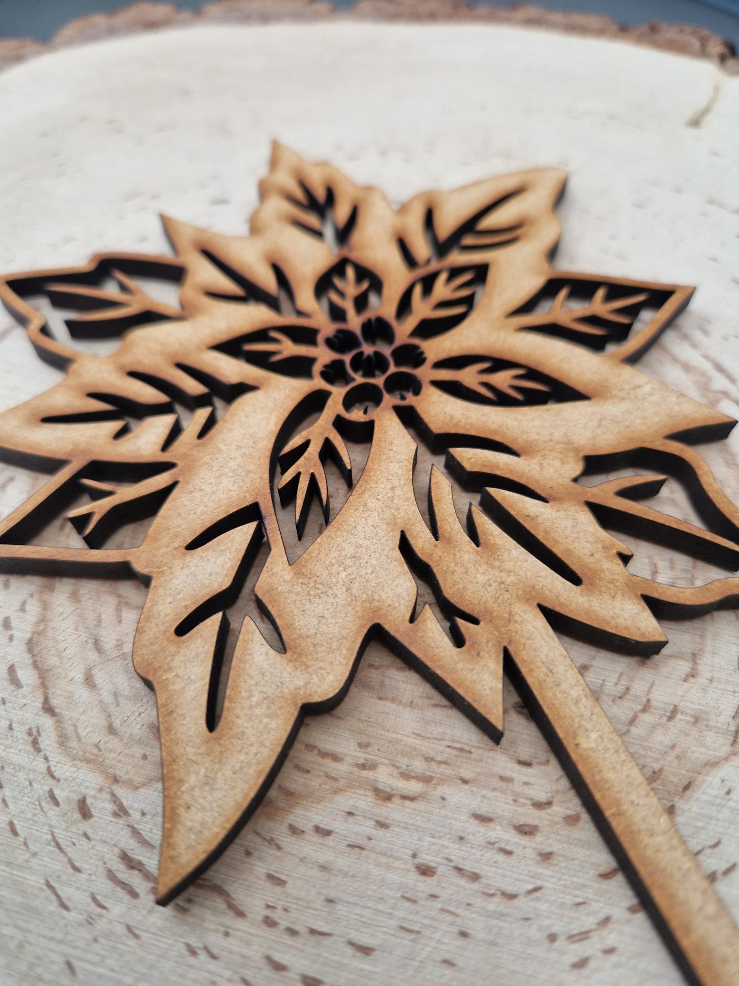 Winter Wooden Stem Flowers