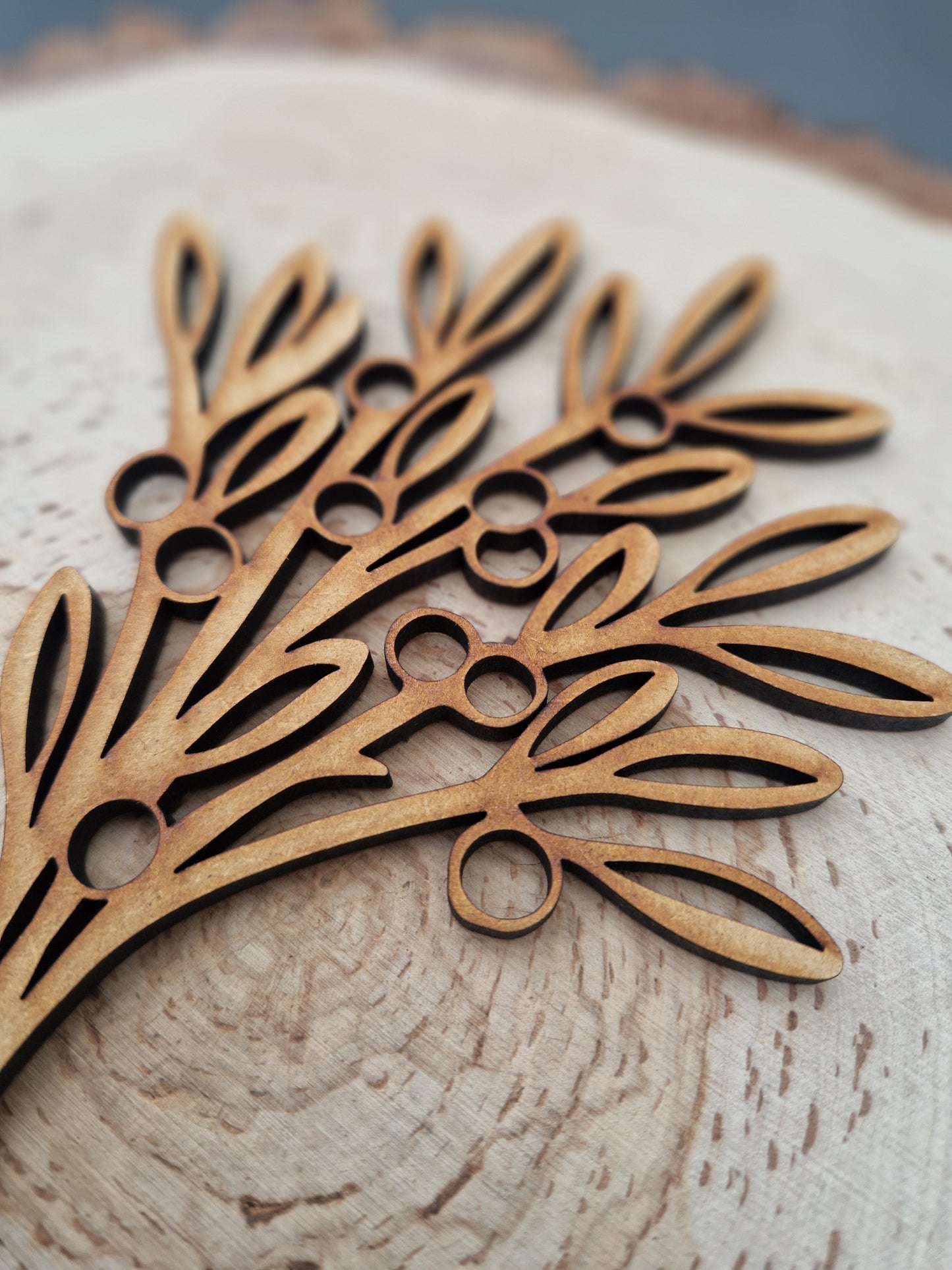 Winter Wooden Stem Flowers