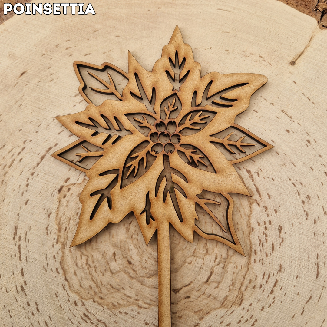 Winter Wooden Stem Flowers