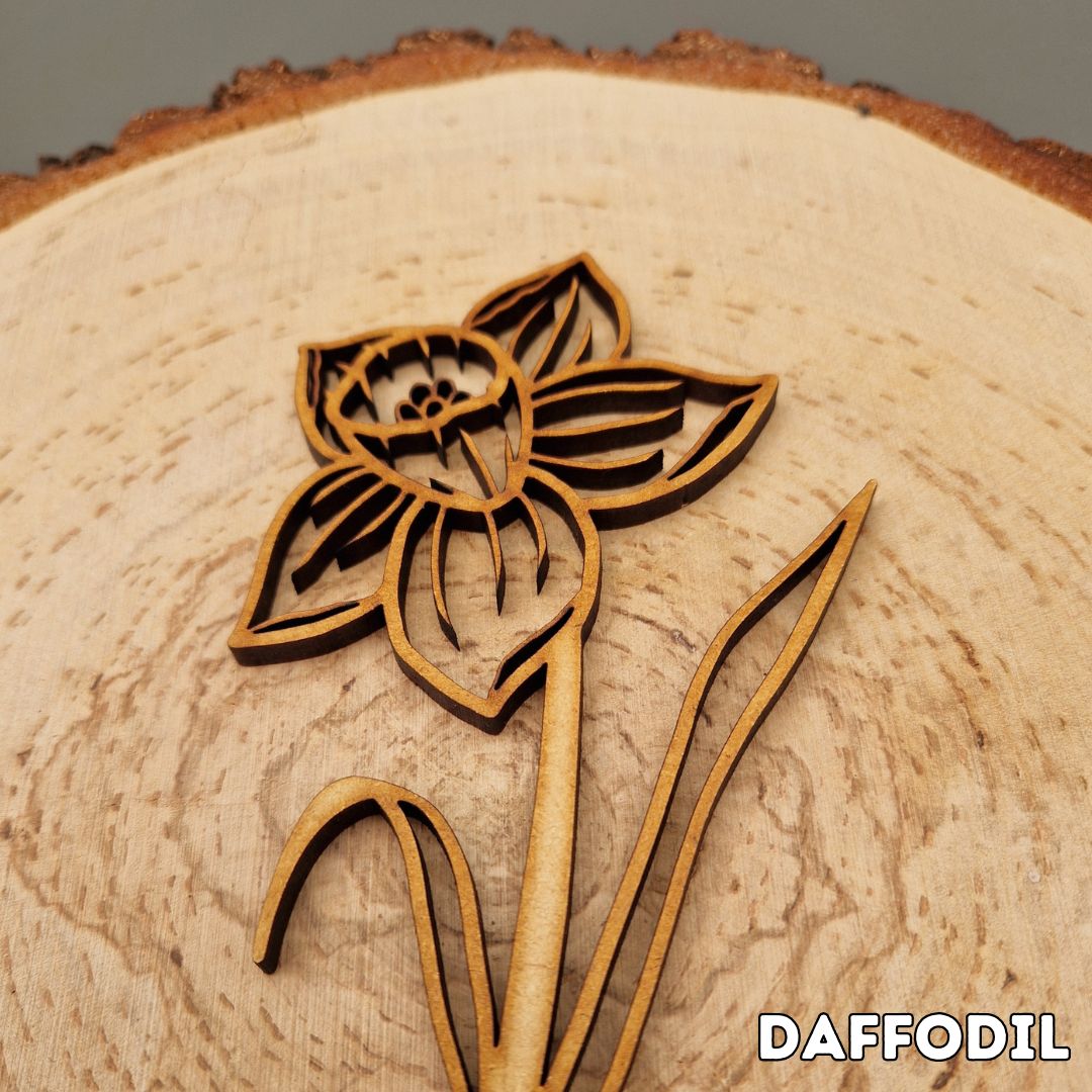 Spring Wooden Stem Flowers